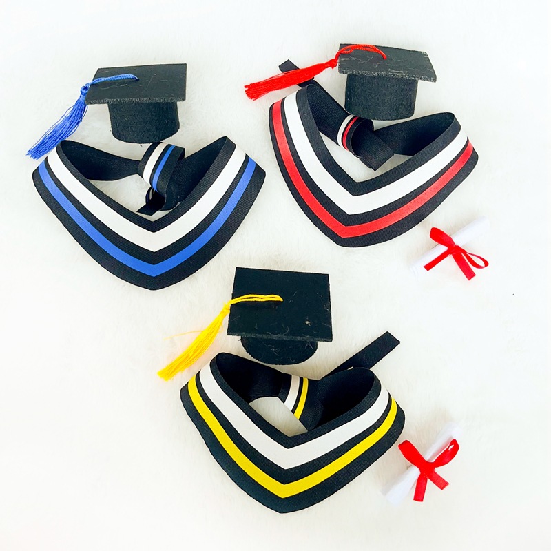 Graduation gift: doctoral cap, bachelor's cap, tassel scarf, student decoration, bouquet accessory, small doll for wearing.