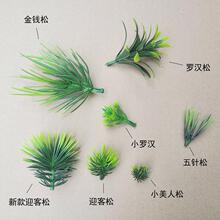 【柏树枝】_柏树枝品牌/图片/价格_柏树枝批发_阿里巴巴