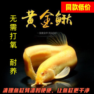 �S�����q�������ˮ�~�^�p�~��ˮ�~С���~С�t�~�����~�r�����q��