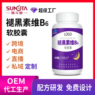 �ʺ���+VB6���ܛ�z�ң�ҹ�g�澏�I�B ���˳��ڼ�