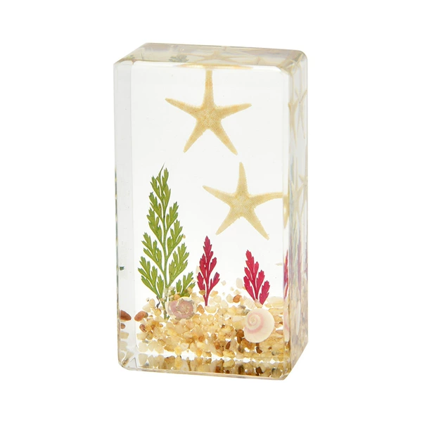 7.3CM Medium Double Star Sea View