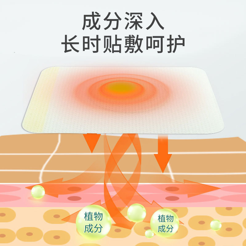 ひまわり三伏パッチ石膏パッチ家庭用夏三伏パッチ三伏ヨモギツボパッチ工場卸売配送|undefined