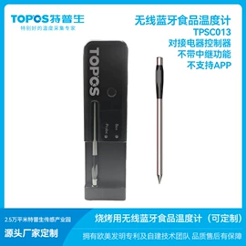 其他温湿度表