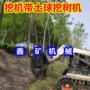 液压挖机树苗挖树机