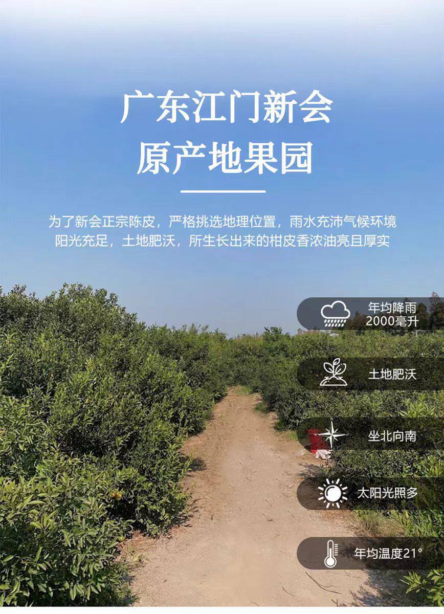Xinhui Da Hong Pi Dried Tangerine Peel 2025 Harvest Sun Dried Chenpi 500g for Tea and Cooking quality and texture