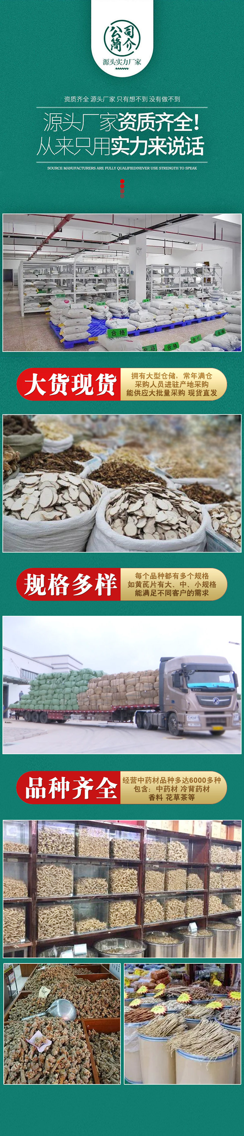 Jin Qian Cao (Lysimachia christinae) — Dried Food Herb, Large-Leaf Variety, 500g key features