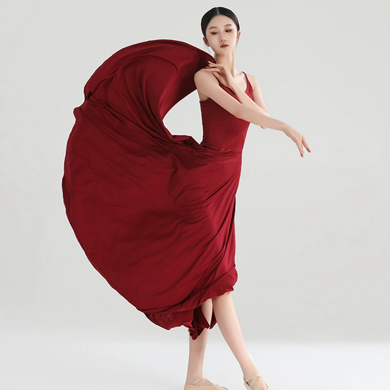 Костюм для классических танцев Платье-слинг Элегантный китайский стиль Современный танцевальный балет Танцевальное искусство Тест Практический костюм