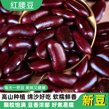 �t������������خa��t��녶��r���Ԯa�tܿ����؛�������s�Z