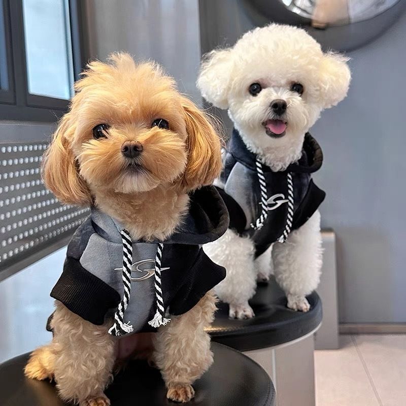 Spring and Autumn Pet Puppy Clothes Hooded Sweatshirt Gradient Color Maltese Bichon Teddy Cat Sweet Cool Style Spring and Autumn Pet Puppy Clothes Hooded Sweatshirt Gradient Color Maltese Bichon Teddy Cat Sweet Cool Style