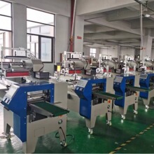 厂家直销 大川回转式变频枕多功能枕包机 湿纸巾高速包装机