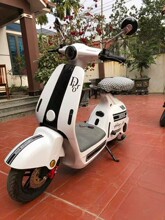 늄�����܇�|�ρ����N2025���������������܇���m�p��