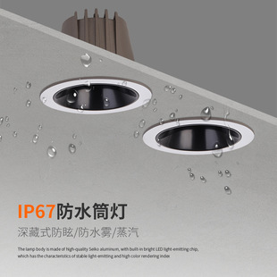 Waterproof Downlight Spotlight Embedded Anti-fog Moisture-proof Kitchen Bathroom Toilet Shower Room Lamp