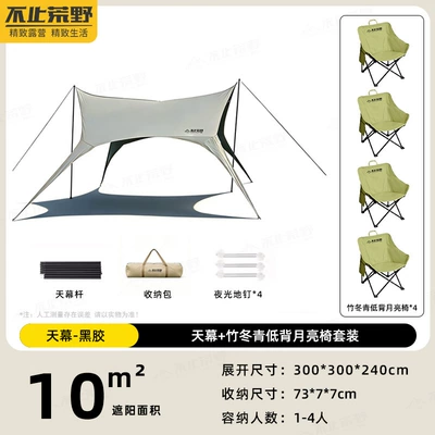 Rainproof and Sunshade Tarp — Avtomobil yan çətirləri - canopy-vinyl-style-green-low-back-moon-chair4-a-must-have-canopy-tent-for-outdoor-travel