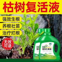 大树生根液枯树再生复活液树木移栽壮苗剂植物通用型营养液激活冰