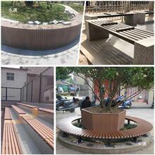 ��ľ�l���@�εʗlľ�ܗl���������o�ڻ��ܷ�ͨ���ڛ�ͤ���Ηl����