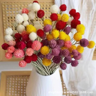 ��ݮ����ϸɻ��滨�Ҿ��b廨��������ƿ�[���͏d�p����������