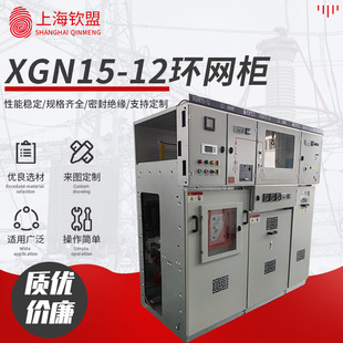 Xgn15-12 High Voltage Ring Cabinet High Voltage Switch Cabinet Outdoor High Voltage Distribution Cabinet Electrical Equipment High Voltage Complete Set