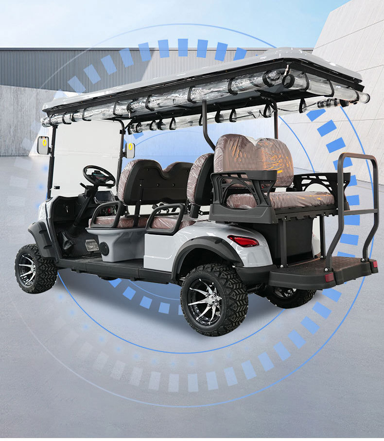 Golf Carts for Export: 2-Seater, 4-Seater, 6-Seater, 8-Seater Electric Golf Carts for Tourist Attractions, Amusement Parks, and Private Properties