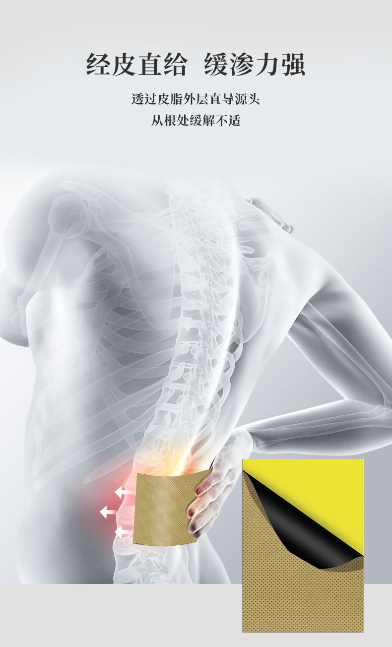 Ba Wang Shu Jin Huo Xue Pain Relief Patch Warming Herbal Plaster for Lower Back 8 Patches per Box specifications