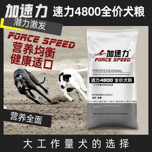 �w�������4800ţ��Z����Ȯ�ݱ��ش������ë��Ȯ����Ȯ�»�Ȯ��