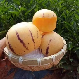 西式糕点;饼干;方便面类