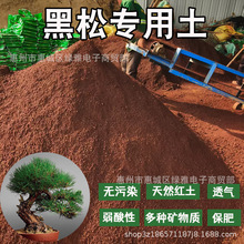 ���ɼt����Ȼ�����w�����Gֲ���Ԍ��������V��I�B���B���t����