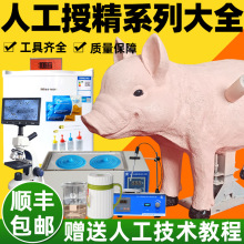 iɾOi˹ھOį@΢Rϡጹi˹Bֳȫ