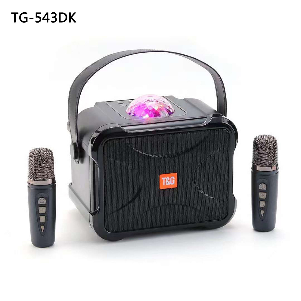 TG543DK 무대등 블루투스 스피커 무선 홈 KTV 듀얼 마이크 휴대용 스테레오 노래방