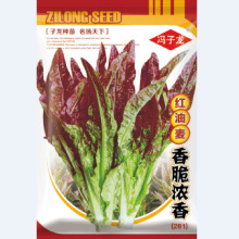 子龙种业蔬菜种子红油麦(281)香脆浓香基地田园庭院露地阳台