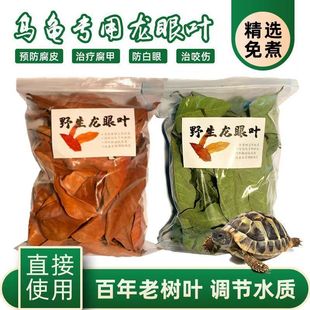 �����~�B�~�ί���Ƥ�����{������ˮ�|���~�����쾰�tɫ���A���~��