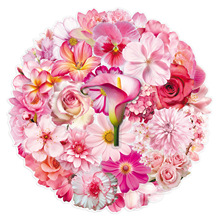 50������ʰ��PET�N�����ܷ�ɫϵ�r���������~�ز�ˮ��DIY͸���N��