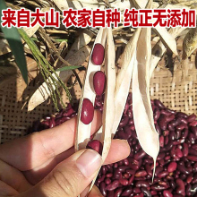 ll红腰豆大红豆红芸豆大赤豆新货红豆大粒农家自种贵州大红腰