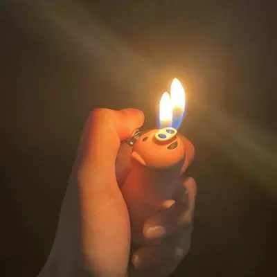 [a generation of hair] little red book trembles ins with love pig cartoon cute lighter high-end household (Siqaret yandırıcısı) - style-1-flower-crazy-love-pig