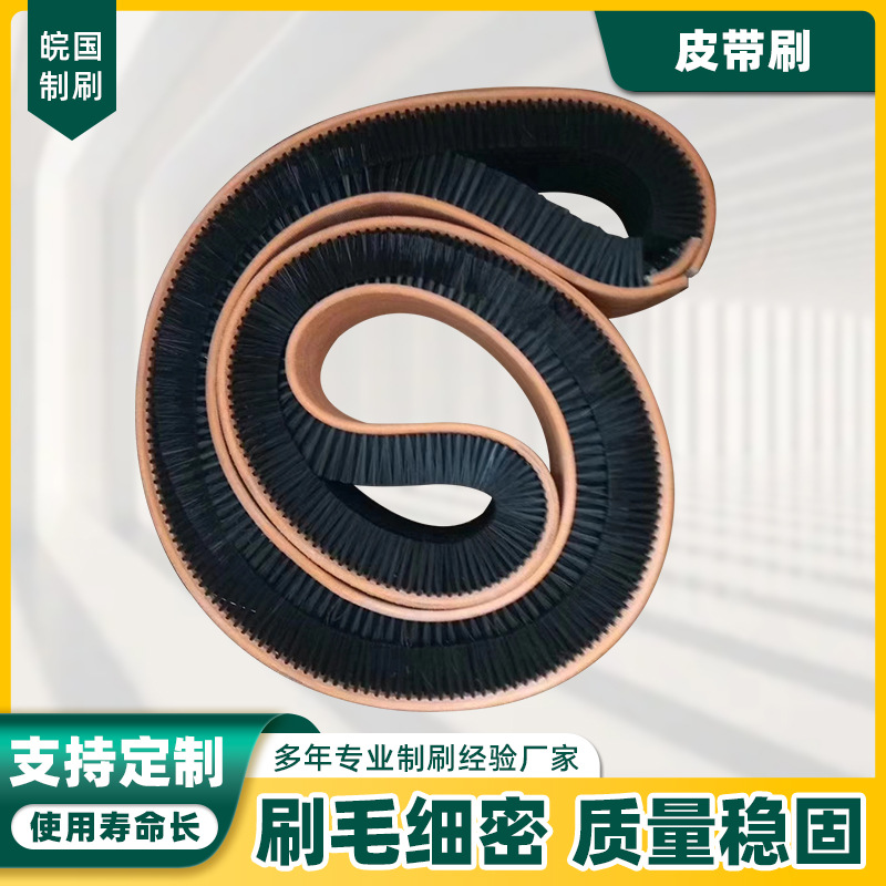 供应尼龙丝皮带刷 运输皮带毛刷穿线除尘皮带刷条形机械除尘刷