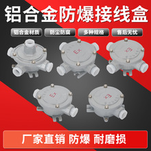 隔爆2C级CT6防爆接线盒 螺纹盖板 防爆三通 IIC四吊盖防爆接线盒