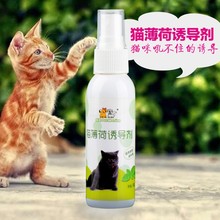 猫咪猫薄荷喷雾70ml诱导剂幼猫咪防应激逗猫薄荷猫草宠物用品批发