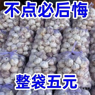 2025ɽ�|���l��Ƥ����ɴ���5��10���b���r����r�������^�����^1