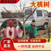 һlشҘҼ޽ҘϷļNֲͥԺ