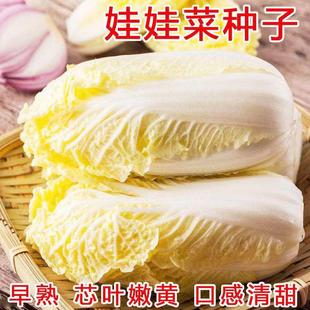 �ļ����޲˷N���S�Ĳ˷N�������ļ�ͥԺ�̨С�ײ�������߲˷N��