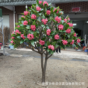 �����u������  ���ͷ����ͥԺ�쾰�b�  �Ƶ����޼٘����l�S��