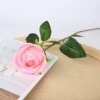 Lover Rose--Pink
