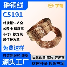 ����������ӌ���0.3mm���~�� ���~�z �a���~�z �a���~��