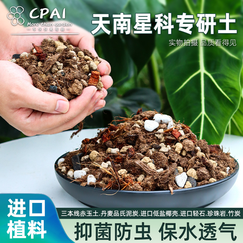 Special soil for Araceae Bamboo turtle nutrient soil Begonia vine green velvet flower candle Alocarum imported peat hot planting soil