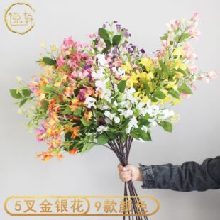 ���y���ٻ����滨���ֹ�����c�û����콁����Y�쾰�b��Ų���