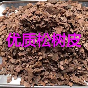 ���|�ɘ�Ƥ�l�͸����m���Gֲ�������m�ƠI�B��ֲ��������[