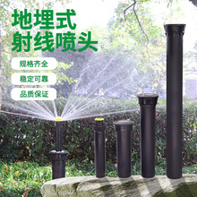 ����ʽ��s�Ԅ��������^�����Bɢ���侀�������D���{��ƺ�G���@��