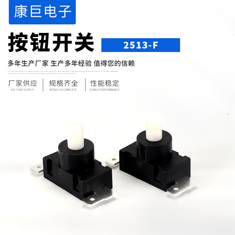 厂家供应 按钮开关2513-F一开一关按键开关 吸尘器搅拌机电源配件