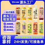 植物饮料果蔬汁茶饮料饮品厂家代工批发OEM瓶装 现货
