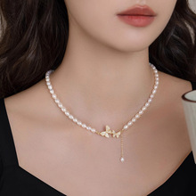 ���A����������ˮ�����朸߼��i���2025�¿��С����ë���i�