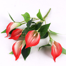 �¿�С����EVA5�^�R��ɏ���滨 ����řڹ����bٻ� �F؛���l